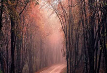 乌兹别克媒体:库萨诺夫在曼城年薪约200-500万欧,还有奖金丹斯:很高兴为利物浦进球,我还年轻&有很多潜力可以挖掘.