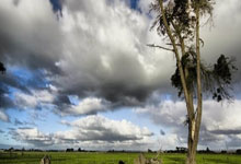 爱游戏:逆转世界第一 天才少女米拉WTA1000赛两连冠.