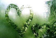 詹姆斯父子同台创历史 擒森林狼新赛季开门红.